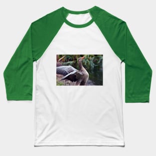 Bird Poetry Baseball T-Shirt